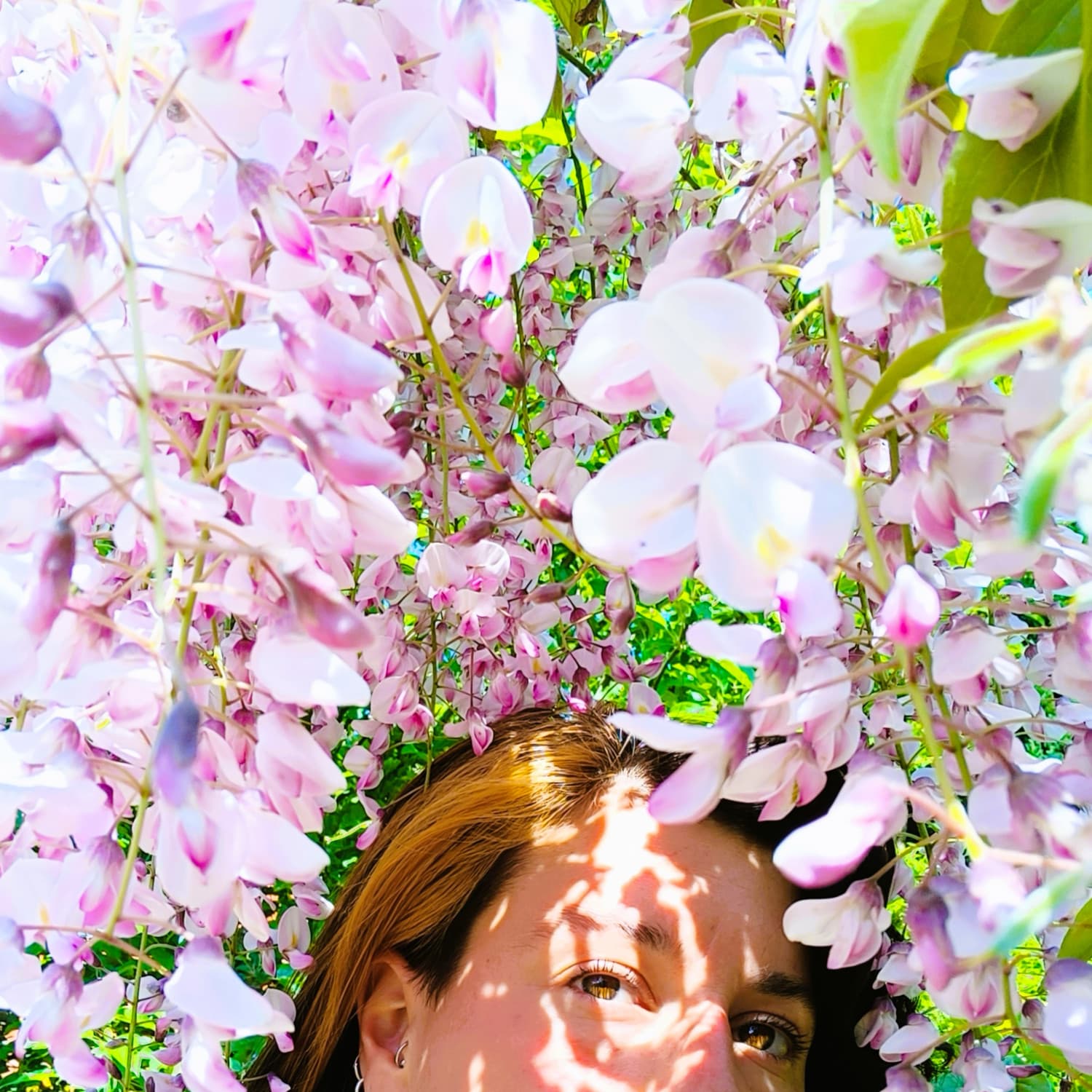 Freedom single art cover